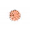 Mineral Blush